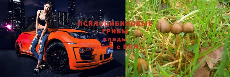 Где купить наркоту Талица АМФ  Меф  Гашиш 